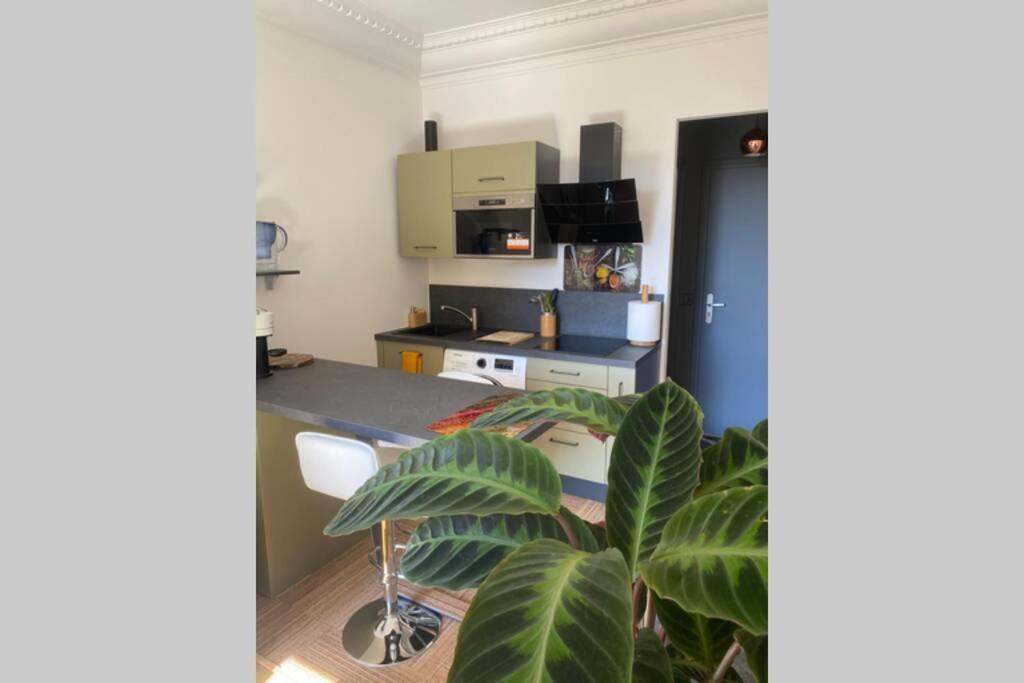 Studio Neuf Et Proche Des Plages De Juan Les Pins Buitenkant foto